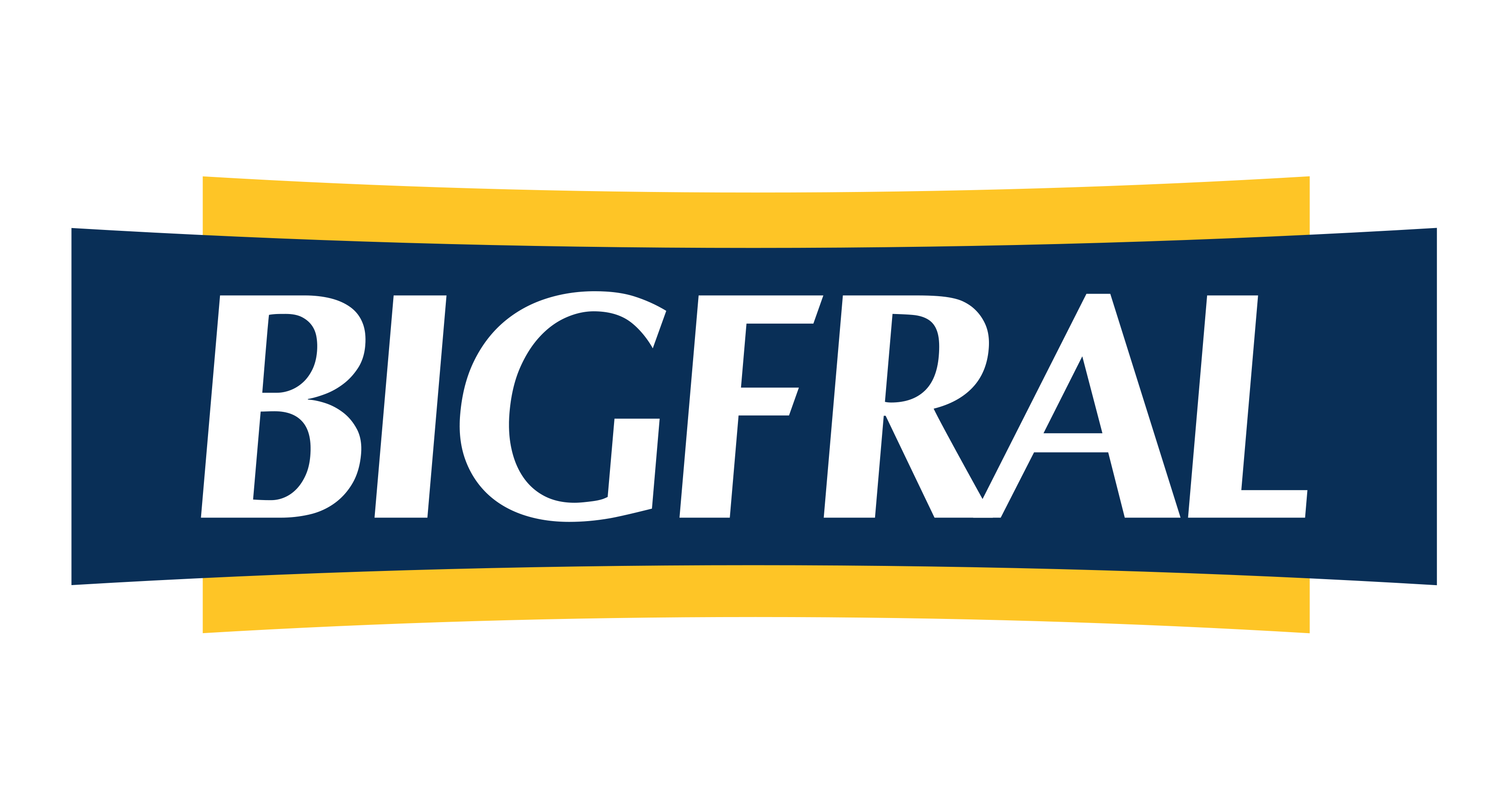 Logotipo Bigfral
