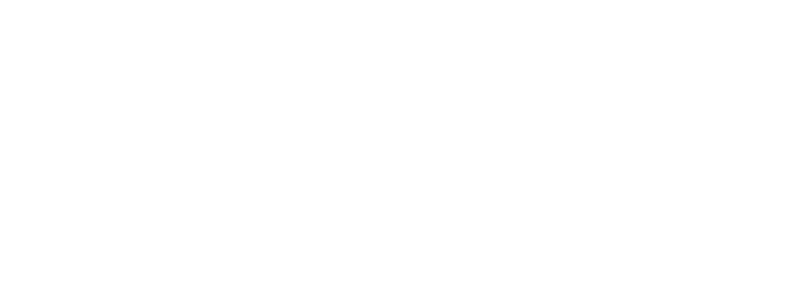 Softys Falcon